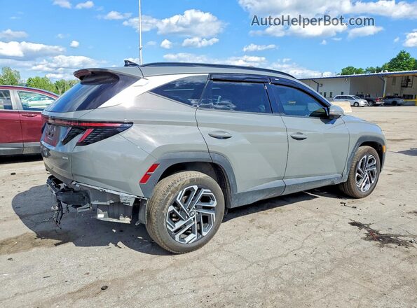 5NMJECDE4SH475232 2025 HYUNDAI TUCSON Gray Tył prawy