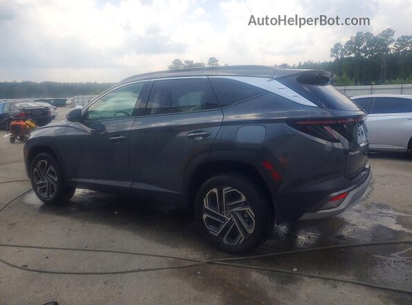 5NMJECDE5SH526334 2025 HYUNDAI TUCSON Gray უკანა მარცხენა