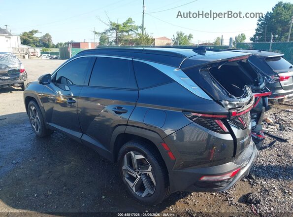 5NMJECDE8RH363382 2024 HYUNDAI TUCSON Gray Tył lewy