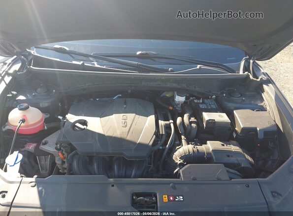 5NMJECDE8RH363382 2024 HYUNDAI TUCSON Gray Widok z tyłu