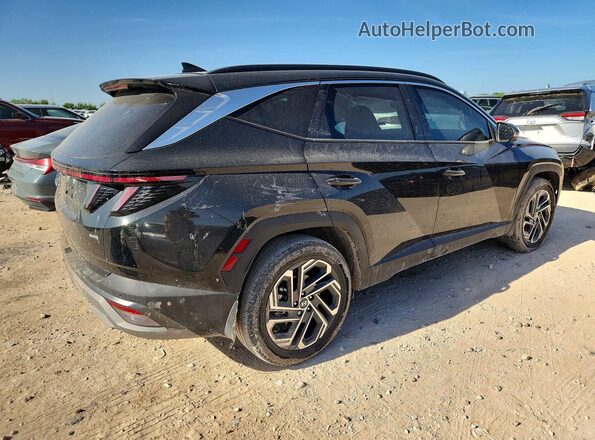 5NMJECDEXSH590188 2025 HYUNDAI TUCSON Black Задня права чверть