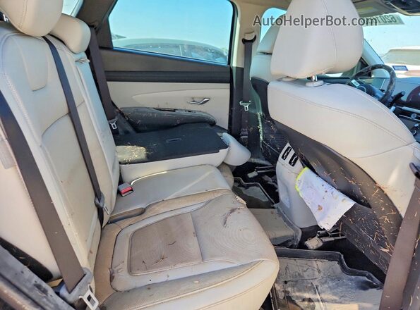 5NMJECDEXSH590188 2025 HYUNDAI TUCSON Black Вид задньої частини салону