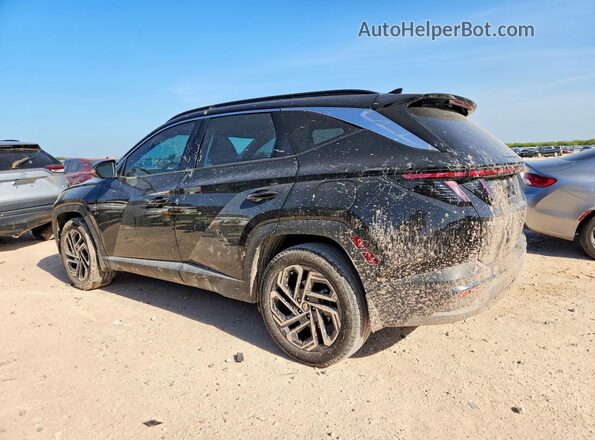 5NMJECDEXSH590188 2025 HYUNDAI TUCSON Black Задня ліва чверть