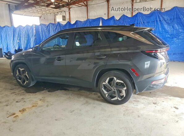 5NMJF3AE0PH277093 2023 HYUNDAI TUCSON Gray უკანა მარცხენა