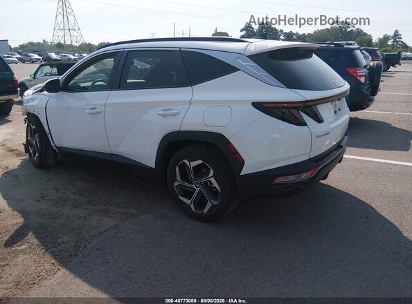 5NMJF3AE1PH291388 2023 HYUNDAI TUCSON Белый Задняя левая четверть