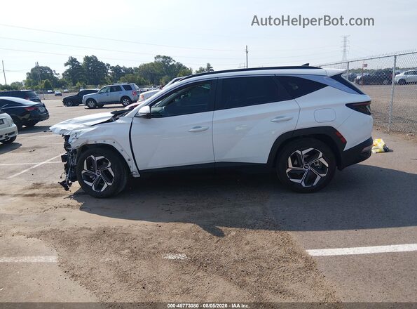 5NMJF3AE1PH291388 2023 HYUNDAI TUCSON Белый Панорамный вид салона 360°