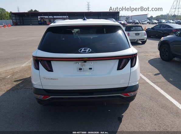 5NMJF3AE1PH291388 2023 HYUNDAI TUCSON Белый 