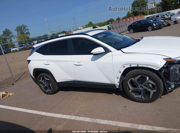 5NMJF3AE1PH291388 2023 HYUNDAI TUCSON Белый Вид задней части салона