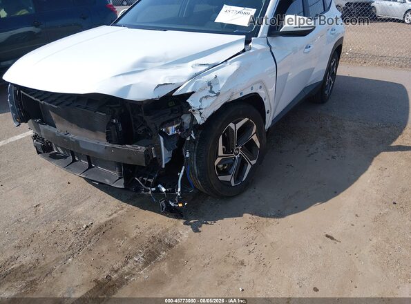 5NMJF3AE1PH291388 2023 HYUNDAI TUCSON Белый 