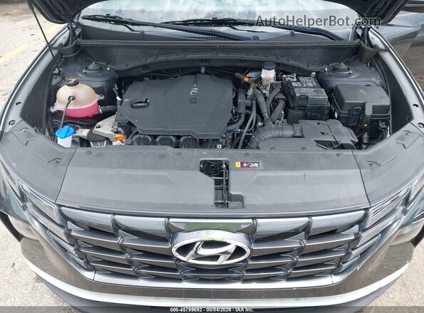 5NMJF3AE6PH170078 2023 HYUNDAI TUCSON Black Vista trasera