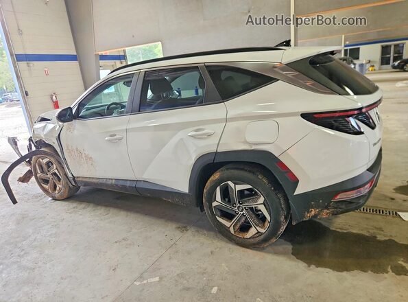 5NMJF3DE0RH359694 2024 HYUNDAI TUCSON White Задня ліва чверть