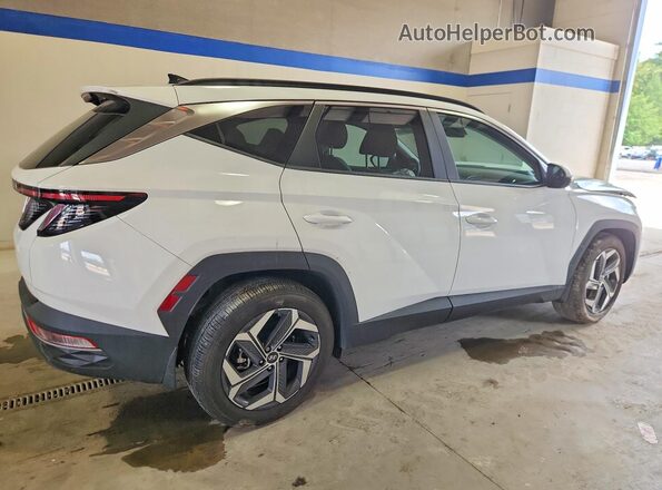 5NMJF3DE0RH359694 2024 HYUNDAI TUCSON White Задня права чверть