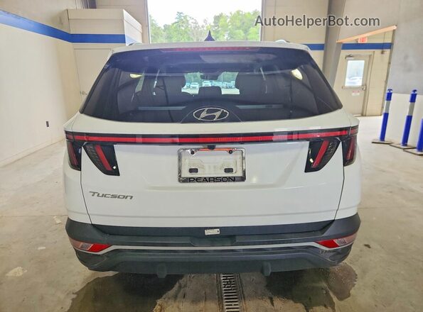 5NMJF3DE0RH359694 2024 HYUNDAI TUCSON White Вид ззаду