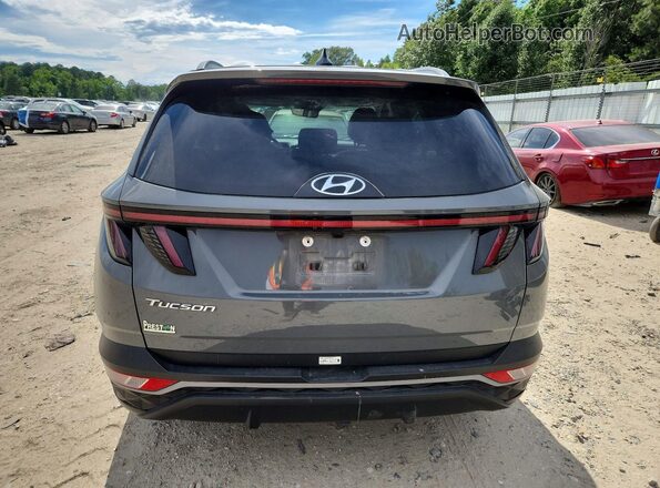 5NMJF3DE0RH402124 2024 HYUNDAI TUCSON Gray Vista trasera