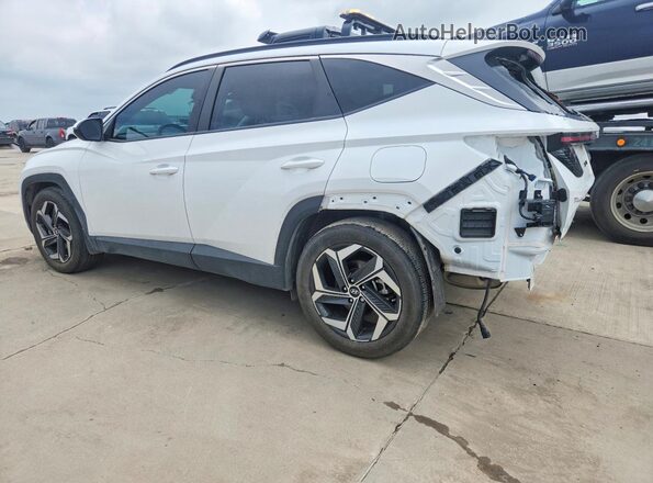 5NMJF3DE4RH331137 2024 HYUNDAI TUCSON White Tył lewy