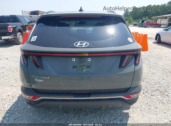 5NMJF3DEXRH307389 2024 HYUNDAI TUCSON Серый 