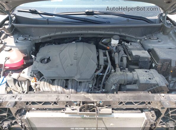 5NMJF3DEXRH307389 2024 HYUNDAI TUCSON Серый Вид сзади