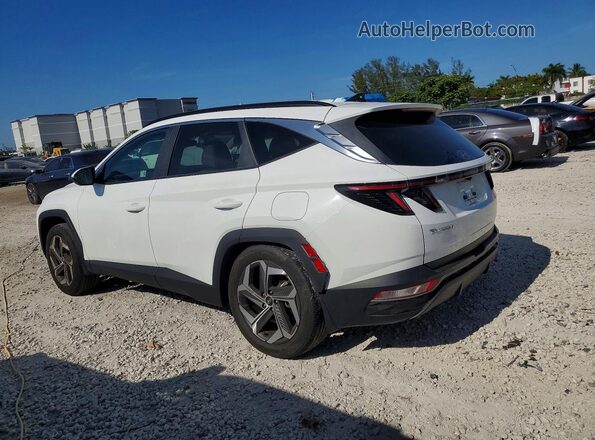5NMJF3DEXRH415771 2024 HYUNDAI TUCSON White Հետևի ձախ