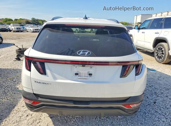5NMJF3DEXRH415771 2024 HYUNDAI TUCSON White Հետևի տեսք