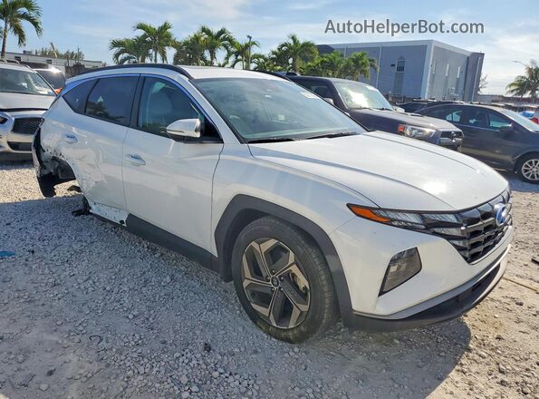 5NMJF3DEXRH415771 2024 HYUNDAI TUCSON White Առջևի աջ