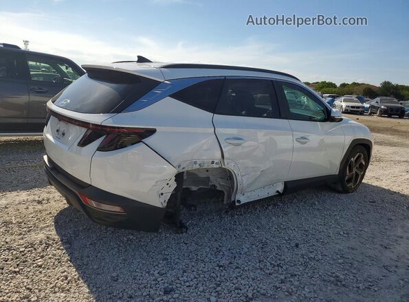 5NMJF3DEXRH415771 2024 HYUNDAI TUCSON White Հետևի աջ