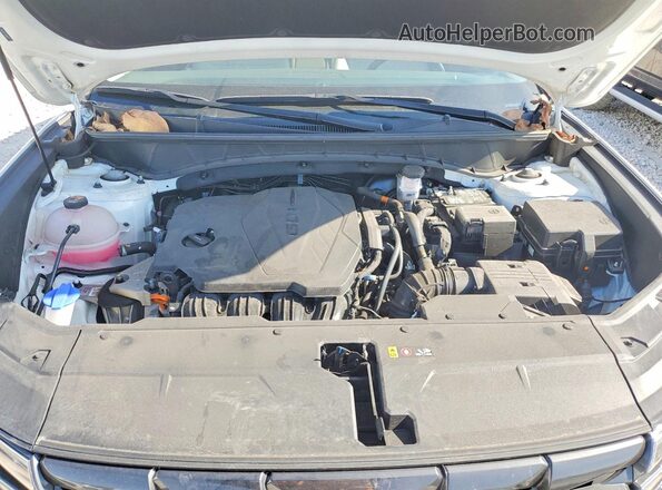 5NMJF3DEXRH415771 2024 HYUNDAI TUCSON White Սալոնի հետևի տեսք