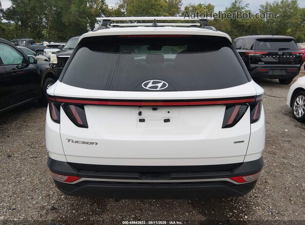 5NMJFCAE3PH286998 2023 HYUNDAI TUCSON White 