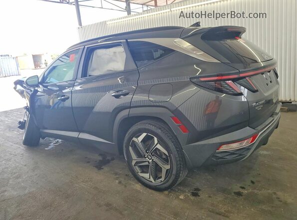 5NMJFCAE4PH174548 2023 HYUNDAI TUCSON Gray Հետևի ձախ