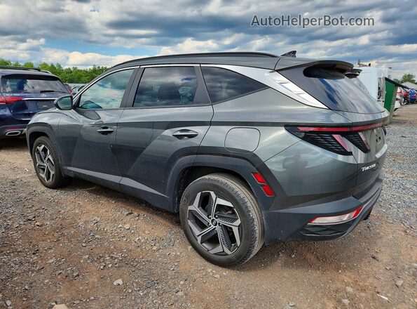 5NMJFCAE5PH254053 2023 HYUNDAI TUCSON Gray უკანა მარცხენა