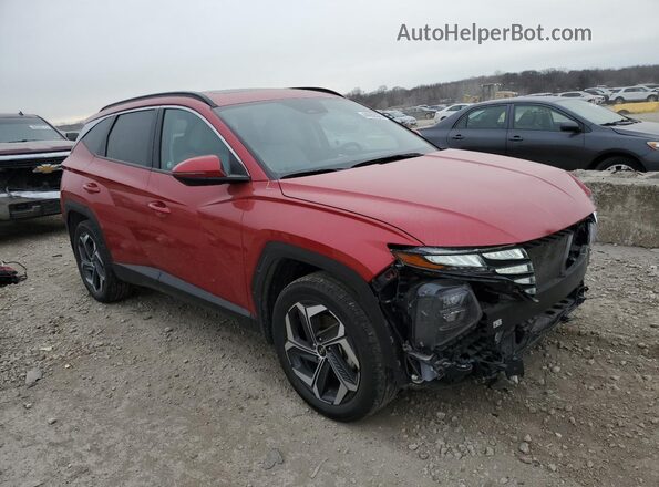 5NMJFCAE6PH197863 2023 HYUNDAI TUCSON Maroon Przód prawy