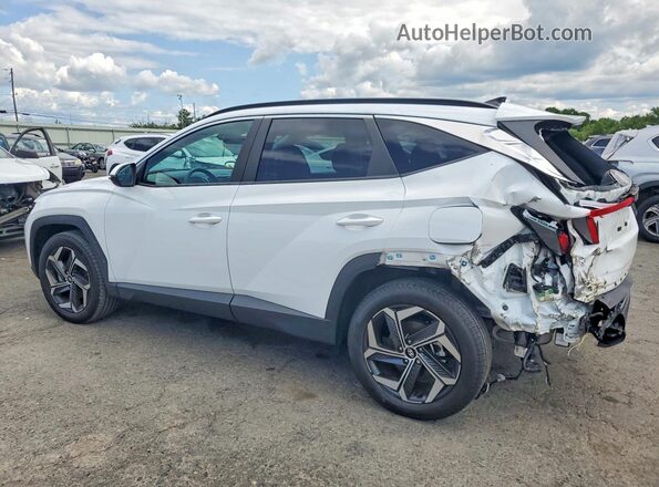 5NMJFCAE6PH279172 2023 HYUNDAI TUCSON White Tył lewy