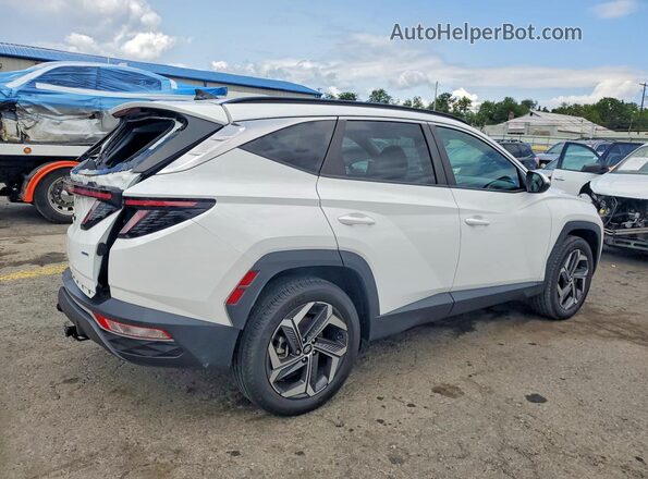 5NMJFCAE6PH279172 2023 HYUNDAI TUCSON White Tył prawy