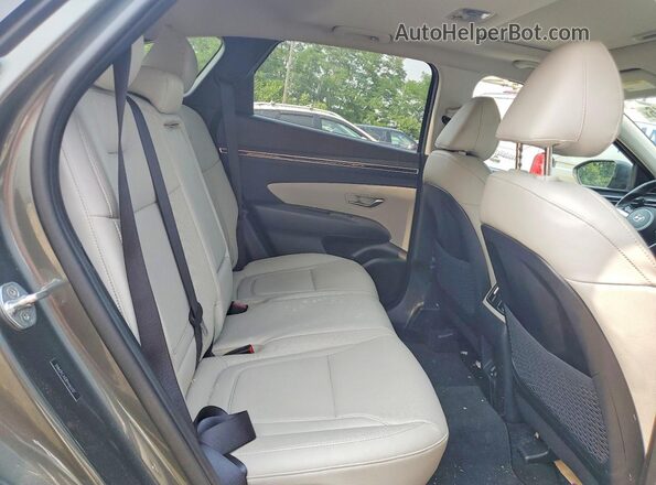 5NMJFCAE8PH165707 2023 HYUNDAI TUCSON Gray უკანა სალონის ხედი