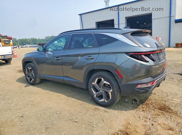 5NMJFCAE8PH165707 2023 HYUNDAI TUCSON Gray უკანა მარცხენა