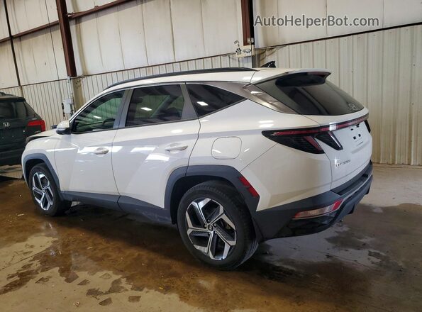 5NMJFCAE8PH279125 2023 HYUNDAI TUCSON White უკანა მარცხენა