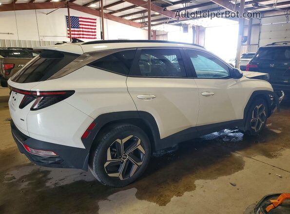 5NMJFCAE8PH279125 2023 HYUNDAI TUCSON White უკანა მარჯვენა