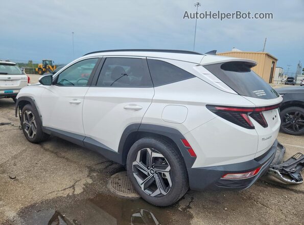 5NMJFCAE9PH246943 2023 HYUNDAI TUCSON White Задня ліва чверть