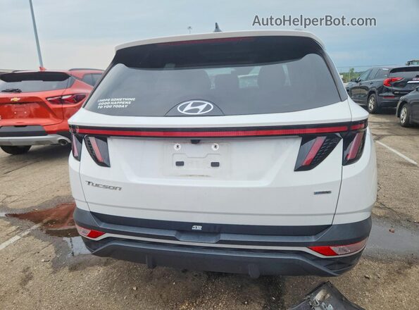 5NMJFCAE9PH246943 2023 HYUNDAI TUCSON White Вид ззаду