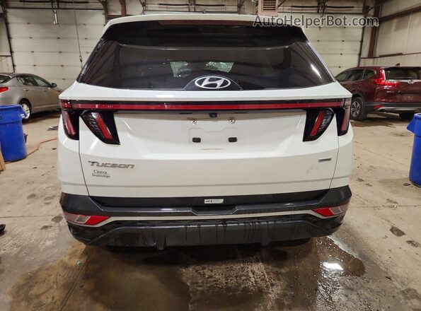 5NMJFCAEXNH021069 2022 HYUNDAI TUCSON White Rear view