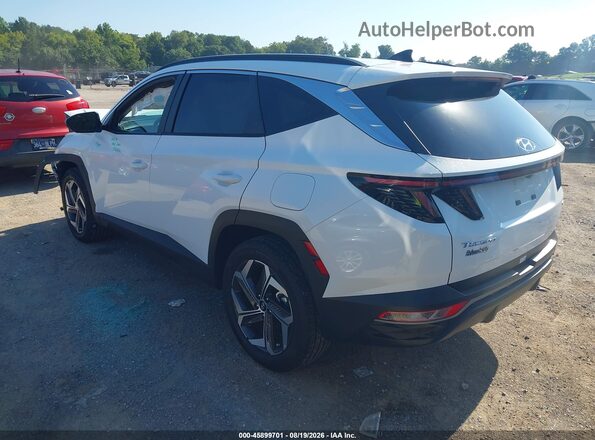 5NMJFCDE7RH372071 2024 HYUNDAI TUCSON Белый Задняя левая четверть