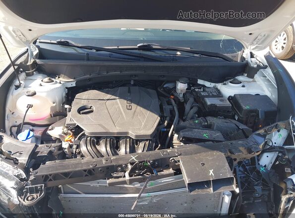 5NMJFCDE7RH372071 2024 HYUNDAI TUCSON Белый Вид сзади
