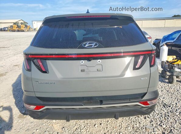 5NMJFCDE7RH412276 2024 HYUNDAI TUCSON Gray Rear seats view