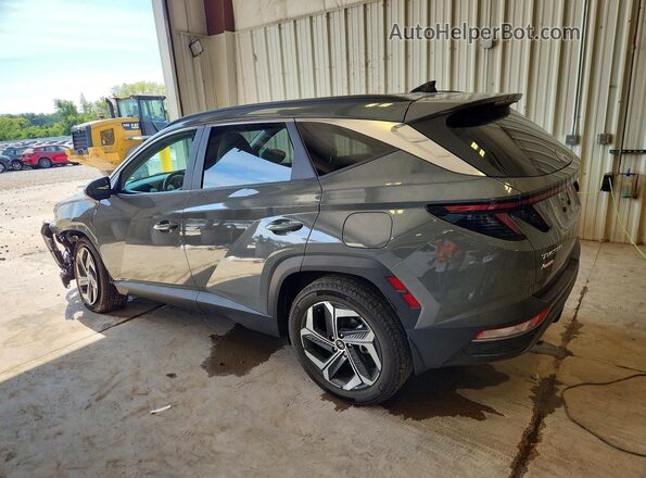 5NMJFCDEXRH297205 2024 HYUNDAI TUCSON Gray Задня ліва чверть