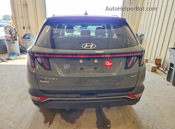5NMJFCDEXRH297205 2024 HYUNDAI TUCSON Gray Вид ззаду