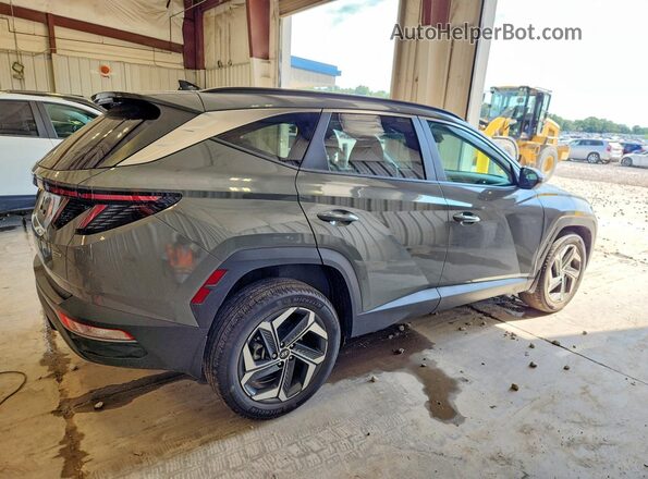 5NMJFCDEXRH297205 2024 HYUNDAI TUCSON Gray Задня права чверть