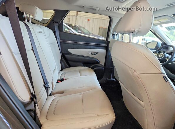 5NMJFCDEXRH297205 2024 HYUNDAI TUCSON Gray Вид задньої частини салону