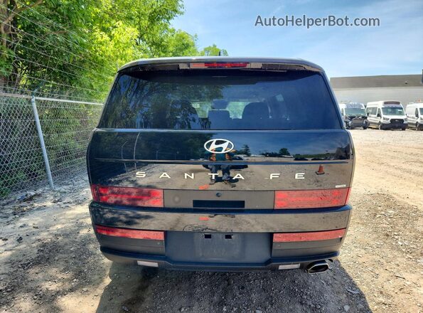 5NMP1DGL1SH108519 2025 HYUNDAI SANTA Black Widok z tyłu