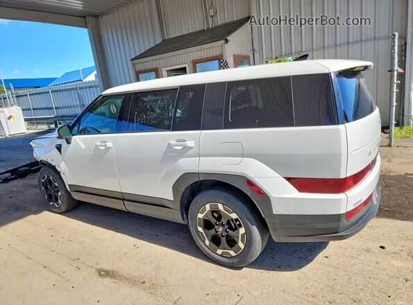 5NMP1DGL8RH031030 2024 HYUNDAI SANTA White უკანა მარცხენა
