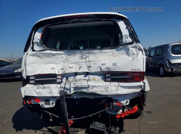 5NMP24G15SH031777 2025 HYUNDAI SANTA White უკანა ხედი