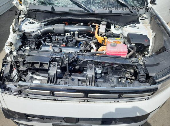 5NMP24G17SH061718 2025 HYUNDAI SANTA White 